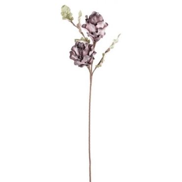 Decorative flower Acampe