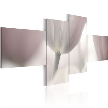 Table - Pastel colored tulip