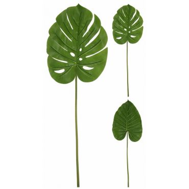 Ανάμικτα φύλλα Μονστέρα & Φιλόδενδρου mini