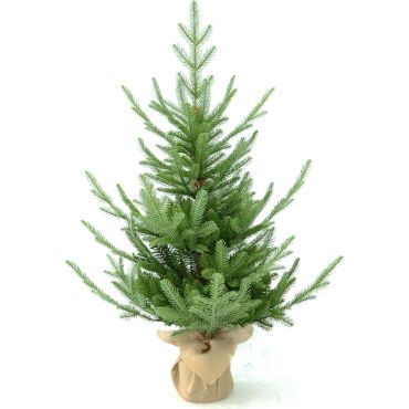 Χριστουγεννιάτικο δέντρο Noble 100cm 24568