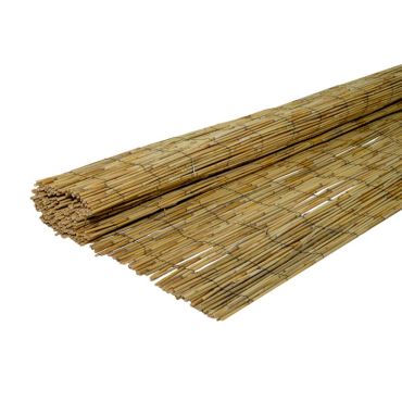 Fine cane Economy