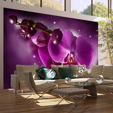 Wallpaper - Fairy tale and orchid 450x270