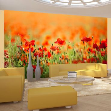 Wallpaper - Poppies in shiny summer day 450x270