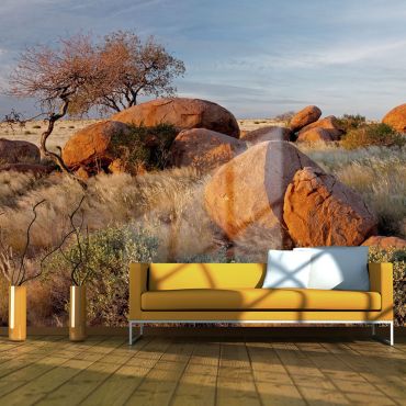 Wallpaper - African landscape, Namibia
