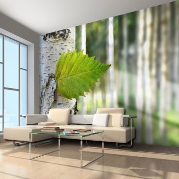 Wallpaper - Birch leaf