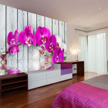 Φωτοταπετσαρία - Violet orchids with water reflexion