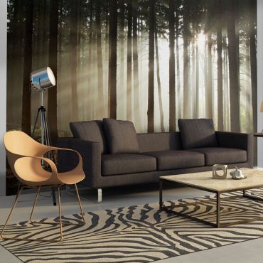 Wallpaper - Coniferous forest