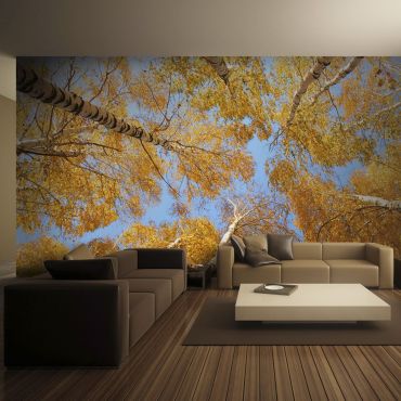 Wallpaper - Autumnal treetops