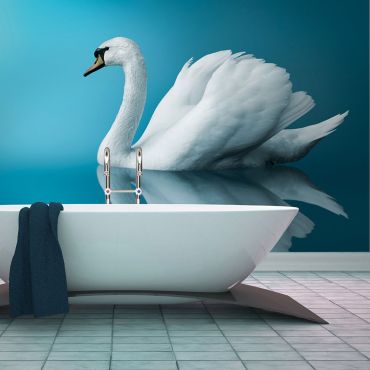 Wallpaper - swan - reflection