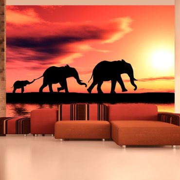 Wallpaper - elephants: family