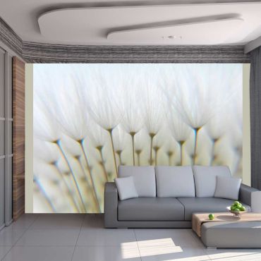 Wallpaper - Dandelion forest