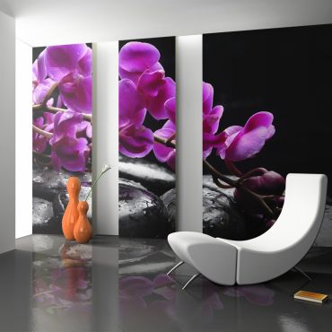 Wallpaper - Relaxing moment: orchid flower and stones