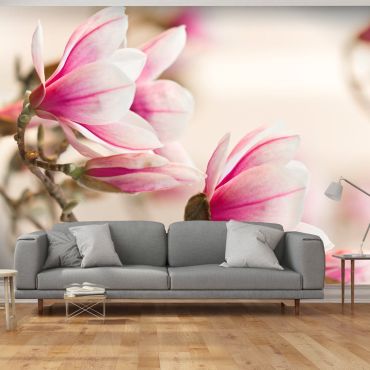 Wallpaper - Branch of magnolia tree