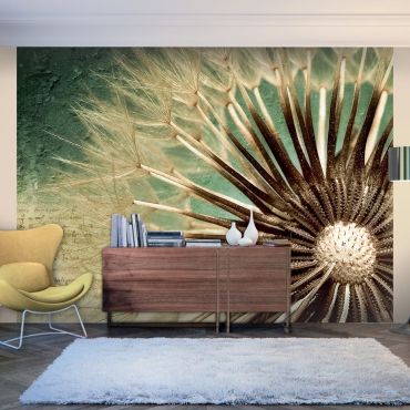 Wallpaper - Focus on dandelion