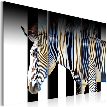 Canvas Print - Stripes