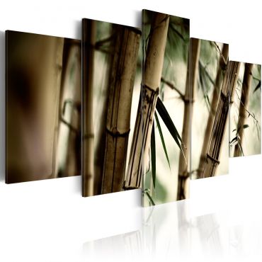 Πίνακας - Asian bamboo forest