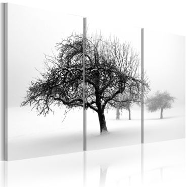 Πίνακας - Trees submerged in white