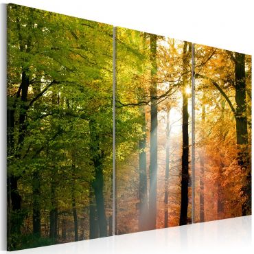 Canvas Print - A calm autumn forest