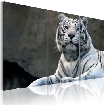 Πίνακας - White tiger