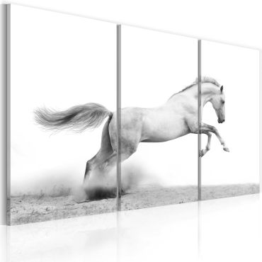Πίνακας - A galloping horse