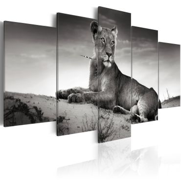 Πίνακας - Lioness in a desert