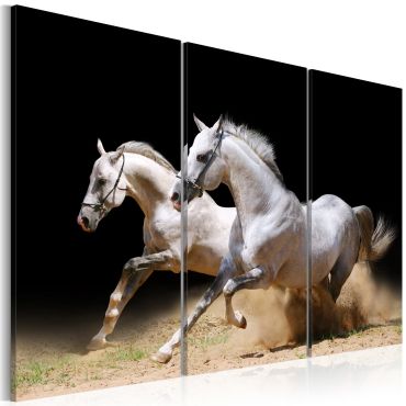 Πίνακας - Horses- power and velocity