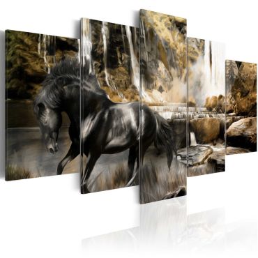 Canvas Print - Foggy weather over waterfall