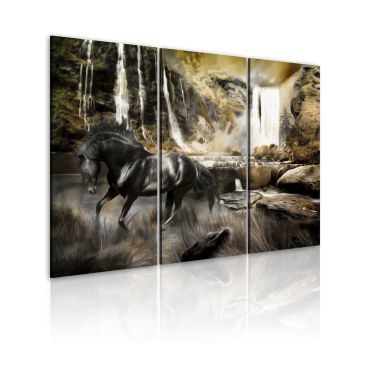 Πίνακας - Black horse and rocky waterfall