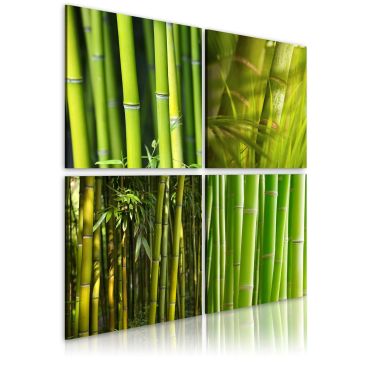 Πίνακας - Bamboos