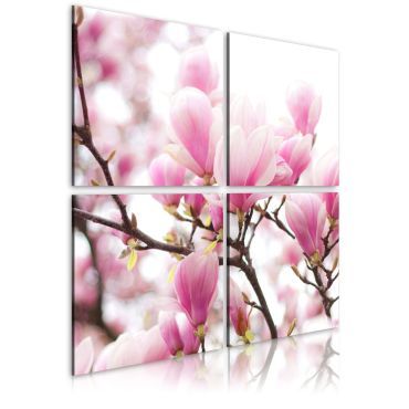 Πίνακας - Blooming magnolia tree