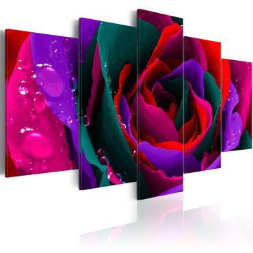 Canvas Print - Multicoloured rose