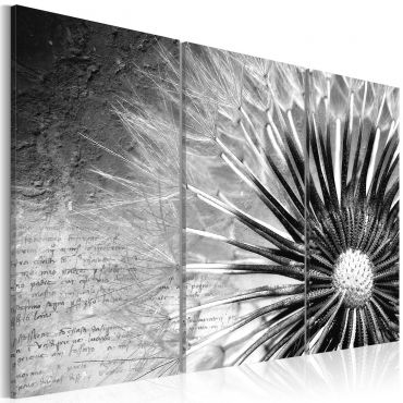 Canvas Print - dandelion (black and white)