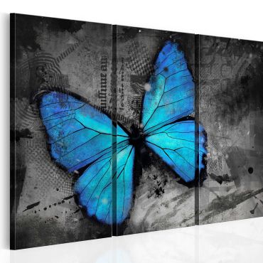 Canvas Print - The study of butterfly - triptych