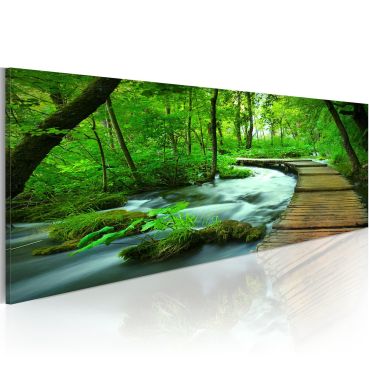 Πίνακας - Forest broadwalk 120x40