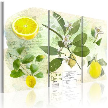 Πίνακας - Fruit: lemon