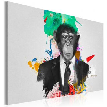 Πίνακας - Mr Monkey