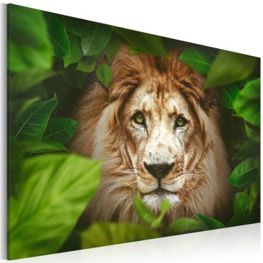 Canvas Print - Eyes of the jungle