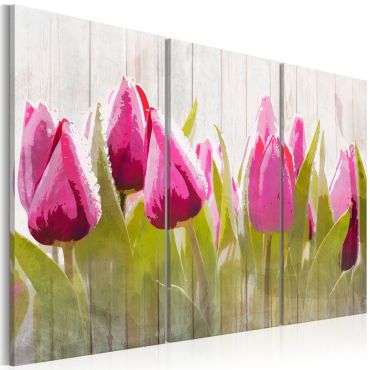 Canvas Print - Spring bouquet of tulips
