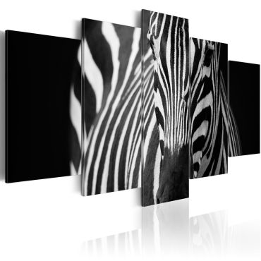 Πίνακας - Zebra look