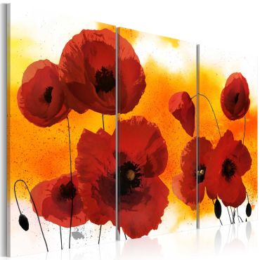 Canvas Print - Sunny afternoon and poppies