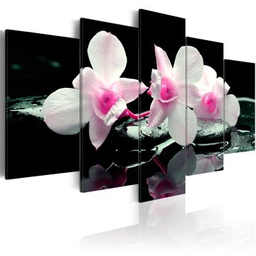 Canvas Print - Rest of orchids