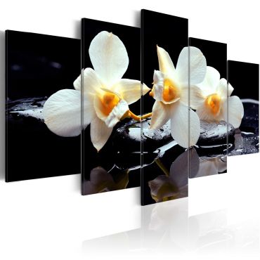 Canvas Print - Orchids with orange accent