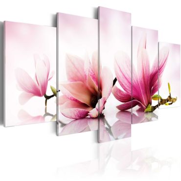 Πίνακας - Magnolias: pink flowers