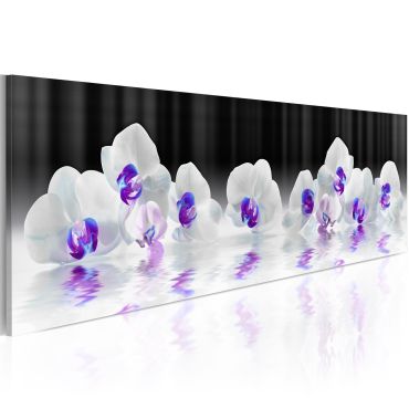 Canvas Print -  Water Orchids