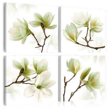 Πίνακας - Admiration of Magnolia
