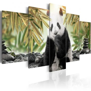 Canvas Print - Cute Panda Bear 