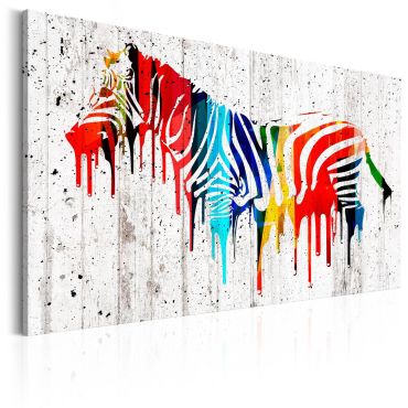 Πίνακας - Colourful Zebra