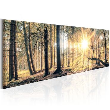 Canvas Print - Autumn Retreat