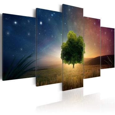 Canvas Print - Starry Nights