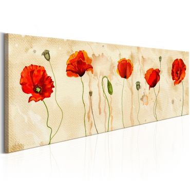 Canvas Print - Tears of Poppies